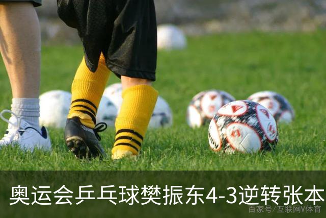 奥运会乒乓球樊振东4-3逆转张本智和 晋级男单4强